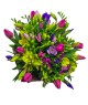 spring-flowers-tulips-freesias