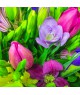 spring-freesias-irises