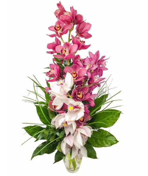 Vášnivá orchidej